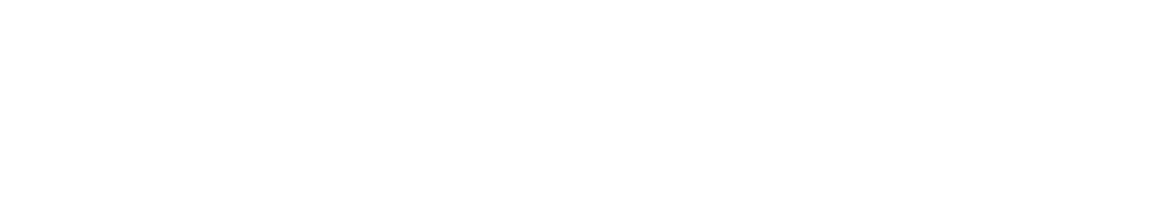 Minh Cao Larsen - Cinematographer